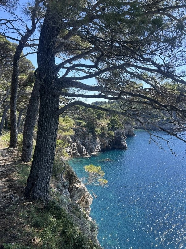 Coastal trail leading to hidden sandy beaches on Koločep Island