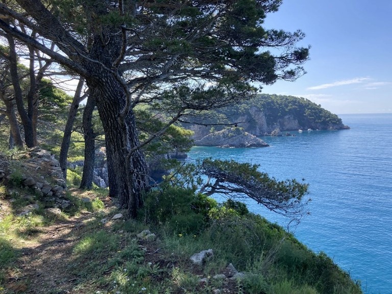 Coastal trail leading to hidden sandy beaches on Koločep Island